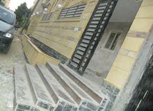 ارضي بحديقه واجهه للبيع بحدائق الاهرام خطوات لشارع الجيش ارضي بحديقه واجهه للبيع بحدائق الاهرام خطوات لشارع الجيش