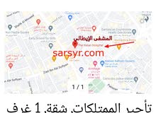 https://sarsyr.com/property/shk-aal-alsth-bmsah-hr-kbyr.html