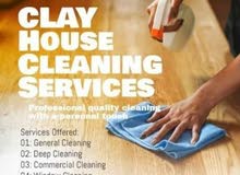 professional cleaning service professional cleaning service