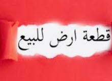 نص دنم 500 متر بسعر حرق بشارع فلسطين