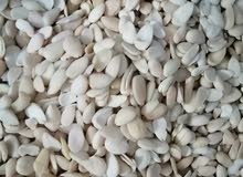 الوز حلو امزلاط سعر كزيوني الوز حلو امزلاط سعر كزيوني