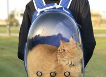 back bag for cats and puppy back bag for cats and puppy