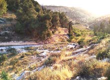 Mixed Use Land for Sale in Hebron Dura