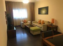 Fully Furnish 1BHK Chiller Free No Commission With All Amenities Fully Furnish 1BHK Chiller Free No Commission With All Amenities