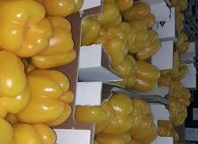 خضر وفواكه مغربية خضر وفواكه مغربية