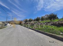 Residential Land for Sale in Amman Marj El Hamam