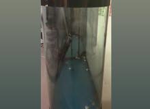 big fish pool... حوض سمك كبير big fish pool... حوض سمك كبير