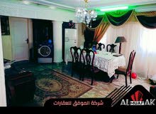 الابراهيميه كامب شيزار الابراهيميه كامب شيزار