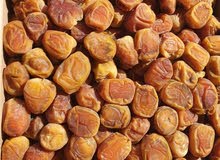 سكرى القصيم رطب سكرى القصيم رطب