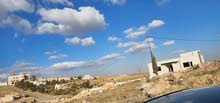 Residential Land for Sale in Amman Shafa Badran
