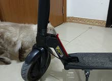 اسكوتر كهربائي اسكوتر كهربائي