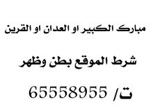 مطلوب بيت محافظه مبارك الكبير مطلوب بيت محافظه مبارك الكبير
