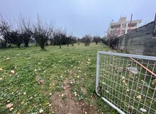 Mixed Use Land for Sale in Hebron Beit Ummar