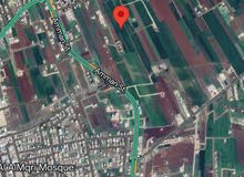 Residential Land for Sale in Irbid Hakama