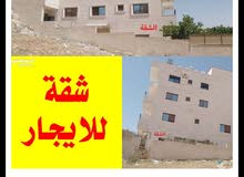 مطلوب شقة للايجار