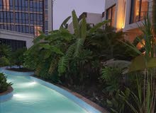 luxury apartment for Daily rent at Millennium Salalah Resort
