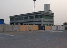 three stor and 14 office in sharjah and beg land in sjaa good deel from owner or for sell 3500000 three stor and 14 office in sharjah and beg land in sjaa good deel from owner or for sell 3500000