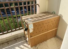 box for dogs box for dogs