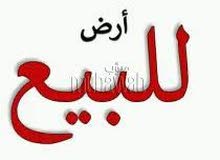 نصف هكتار للبيع بسعر مناسب جداً على شارع السكة. نصف هكتار للبيع بسعر مناسب جداً على شارع السكة.
