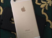 iphone 6 gold iphone 6 gold