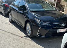 Toyota Corolla 2019 in Amman