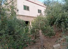 بيت مستقل طابقين