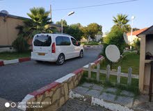 بيجو تيبي بيجو تيبي