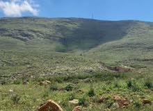 Mixed Use Land for Sale in Nablus Al-Bathan