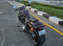 Harley davidson softail breakout