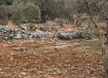 Mixed Use Land for Sale in Salfit Bruqin