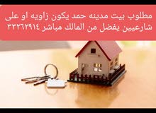 مطلوب بيت مطلوب بيت