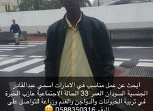 ابحث عن عمل بأحد مزارع لتربية الدواجنً والغنم ابحث عن عمل بأحد مزارع لتربية الدواجنً والغنم