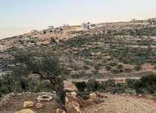 Mixed Use Land for Sale in Ramallah and Al-Bireh Kaubar