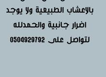العلاج الطب التقليدي العلاج الطب التقليدي