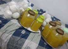 الجميد الكركي وما ادراك ما الجميد الكركي الجميد الكركي وما ادراك ما الجميد الكركي