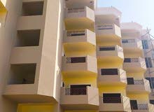 * منتجع جوليانا بيتش الغردقة * Juliana Beach Resort Hurghada * * منتجع جوليانا بيتش الغردقة * Juliana Beach Resort Hurghada *