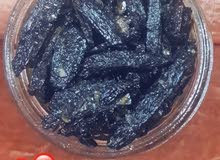 عود معمول نبيل عود معمول نبيل