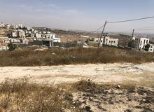 Mixed Use Land for Sale in Hebron Dura