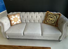 Danube home 3 seater couch