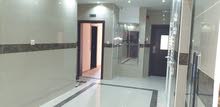 استديو للايجار السنوى بعجمان بمنطقة الراشديه استديو للايجار السنوى بعجمان بمنطقة الراشديه