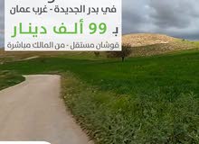 Farm Land for Sale in Amman Badr Jdedeh