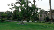 1000m2 More than 6 bedrooms Villa for Sale in Cairo Ring Road