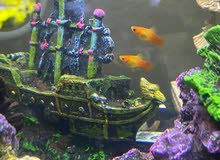 90L Fish tank for sell 90L Fish tank for sell