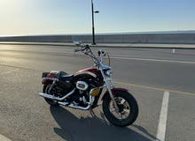 Harley Davidson 1200 Custom 2013 in Muscat