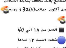 عمل للجميع عمل للجميع