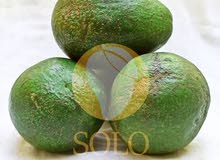 Avocado, Coconut, Kiwi, Pineapple Avocado, Coconut, Kiwi, Pineapple