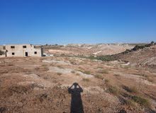ارض زراعي سما الروسان قوشان مستقل ارض زراعي سما الروسان قوشان مستقل