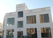 Yearly Showrooms in Muscat Amerat