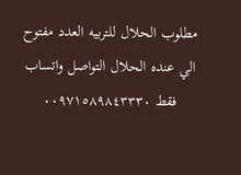 مطلوب الحلال باالجمله بكميات كبيره العدد مفتوح الي عنده الحلال التواصل واتساب فق مطلوب الحلال باالجمله بكميات كبيره العدد مفتوح الي عنده الحلال التواصل واتساب فق