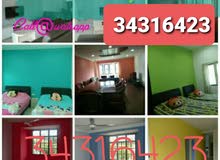 House painting House painting